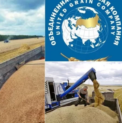 Выручка Объединенной зерновой компании 2016 году составила 12 млрд рублей, чистая прибыль - 2,24 млрд рублей.