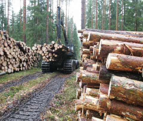  Российские власти намерены создать госкорпорацию, которая на эксклюзивных условиях продолжит экспортировать древесину, с 1 января 2022 года.