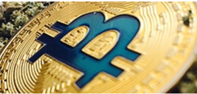 Самая популярная криптовалюта мира - биткоин - разделилась на две: классический биткоин (BTC) и Bitcoin Cash (BCC).