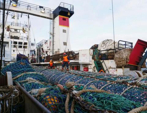 Восемь дальневосточных рыбопромышленных компаний перешли в собственность Росимущества по требованию Генпрокуратуры.